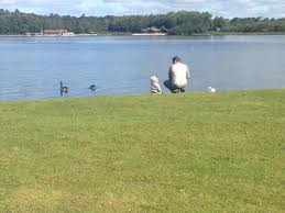 Image result for Pine Lake Watersports - Lancashire
