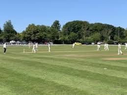 Image result for Tendring Cricket Club