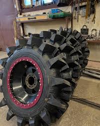 Картинки по запросу белку зажевало в диск