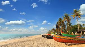 Image result for goa beaches