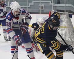 Image result for West Coast Wasps Skater Hockey Club