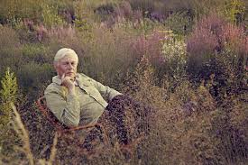 Image result for Piet Oudolf