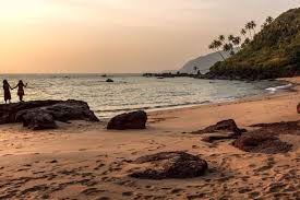 Image result for goa beaches