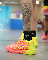 Attēlu rezultāti vaicājumam “Meloe sp. imago”