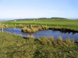 Image result for Welshpool Golf Club