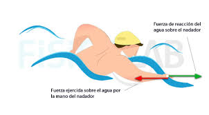 Resultado de imagen para imagenes de accion reaccion