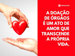 Image result for doação de órgãos