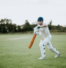 Image result for Bradford Abbas Cricket Club