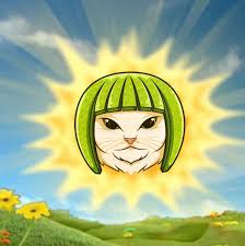 Image result for limecat