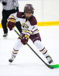 Image result for Elmbridge Eagles Junior Badminton Club