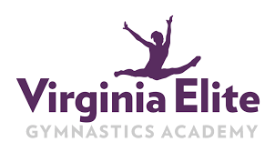 Image result for Epping Forest Elite Gymnastics Club