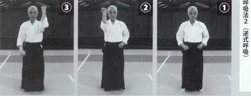 Image result for Kokyu Aikido Association