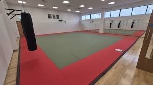 Image result for Macclesfield Dojo