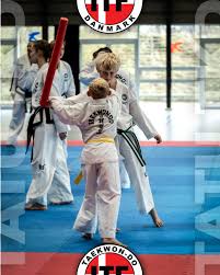 Image result for Bytomic Tae Kwon Do Wokingham