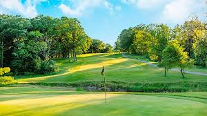 Image result for Balmoral Bowls Club