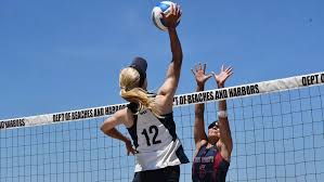Image result for Sutton Volleyball Club