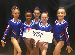 Image result for Tolworth Gymnastics Club