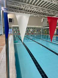 Image result for Kingsbridge Kingfishers Swimming Club