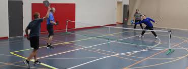 Image result for Addison Badminton Club