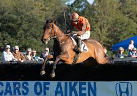 Image result for Fisher Equestrian