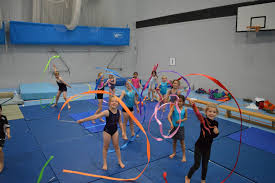 Image result for Appley Bridge Gymnastics Club