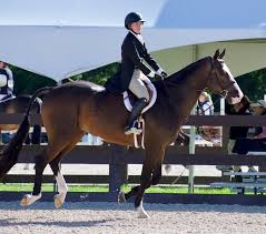 Image result for Oxford Riding Club