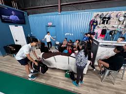 Image result for Wigston Badminton Academy