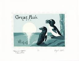 Image result for Pinguinus impennis