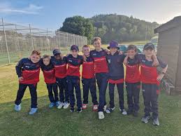Image result for Ynysygerwn Cricket Club