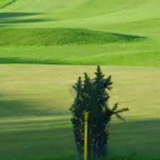 Image result for Romanby Golf Course