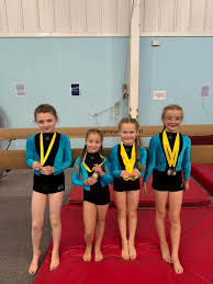 Image result for City Of Hull Olympic Gymnastics Club