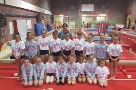 Image result for Cardiff Olympic Gymnastics Club