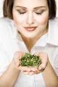 It has long been thought to boost brain power, so scientists ... - Sniffing-rosemary-can-boost-your-brain-power
