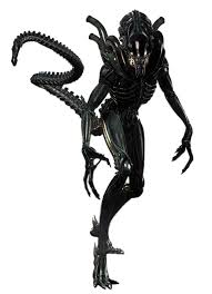 Image result for xenomorph