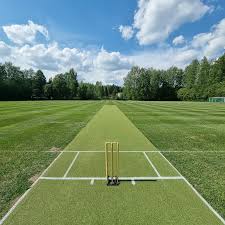 Image result for Forest Green Estonia Cricket Club
