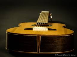 Image result for selvatici tehron