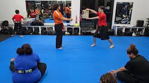 Image result for Awesome Martial Arts Training Center