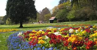 Image result for Barry Romilly Bowling Club