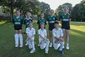 Image result for Chard Cricket Club