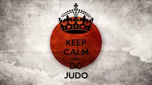 Image result for Horndean Zen Judo Club