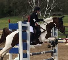 Image result for Annandale Equestrian Centre