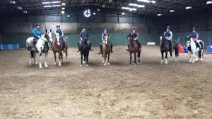 Image result for South Weylands Equestrian