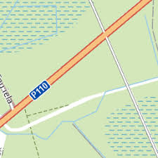 Attēlu rezultāti vaicājumam “Pinthaeus sanguinipes imago”