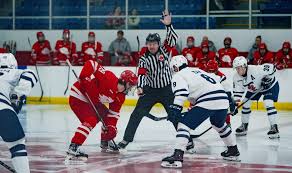 Image result for York University Street Hockey Club