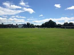 Image result for Newport (Salop) Cricket Club