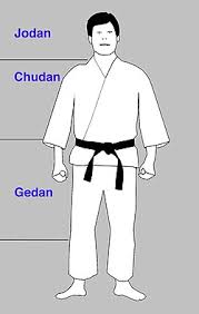 Image result for Jodan Karate
