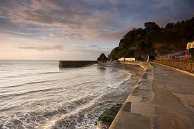 Image result for Dawlish Sc