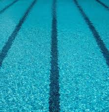 Image result for Borough Of Waltham Forest Swimming Club