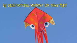 Image result for Poole Kite Fliers