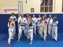 Image result for North Yorkshire Goju Ryu Karate Club